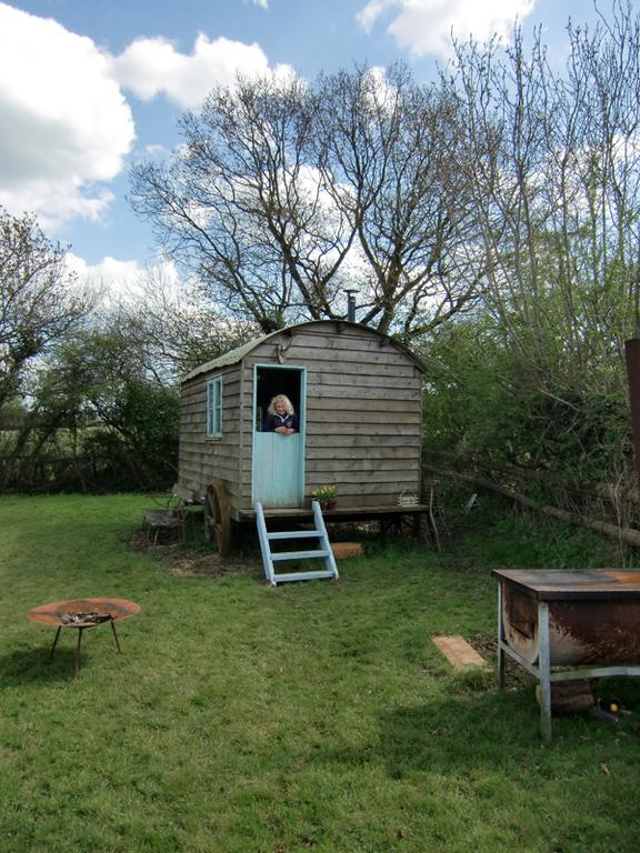 Mollies Hut Villa Frome Room photo